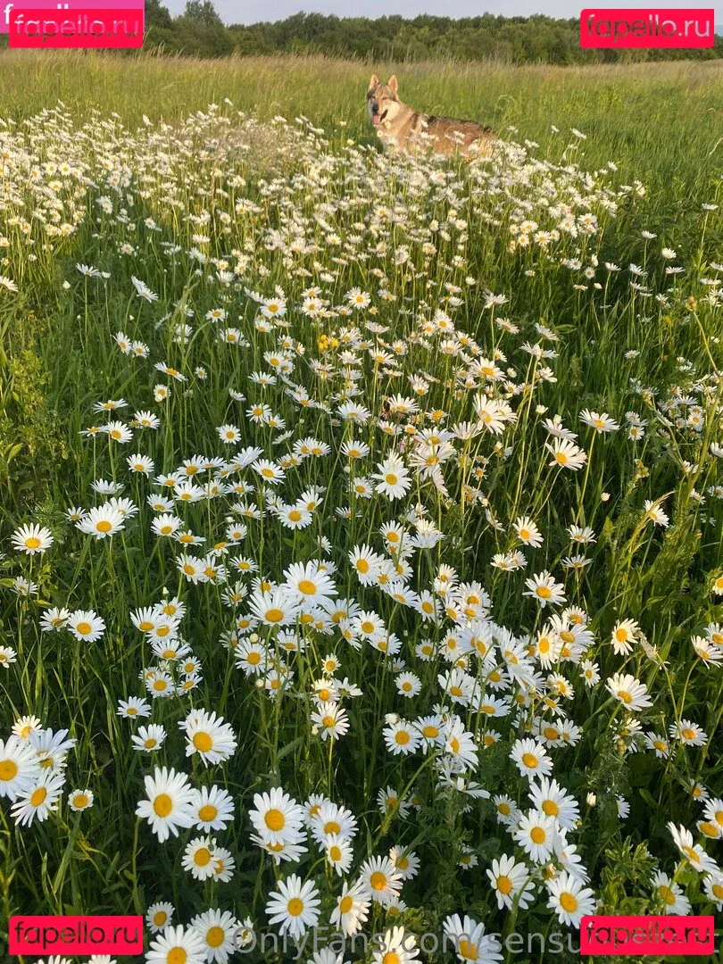 Sensuouszest Onlyfans Photo Gallery 