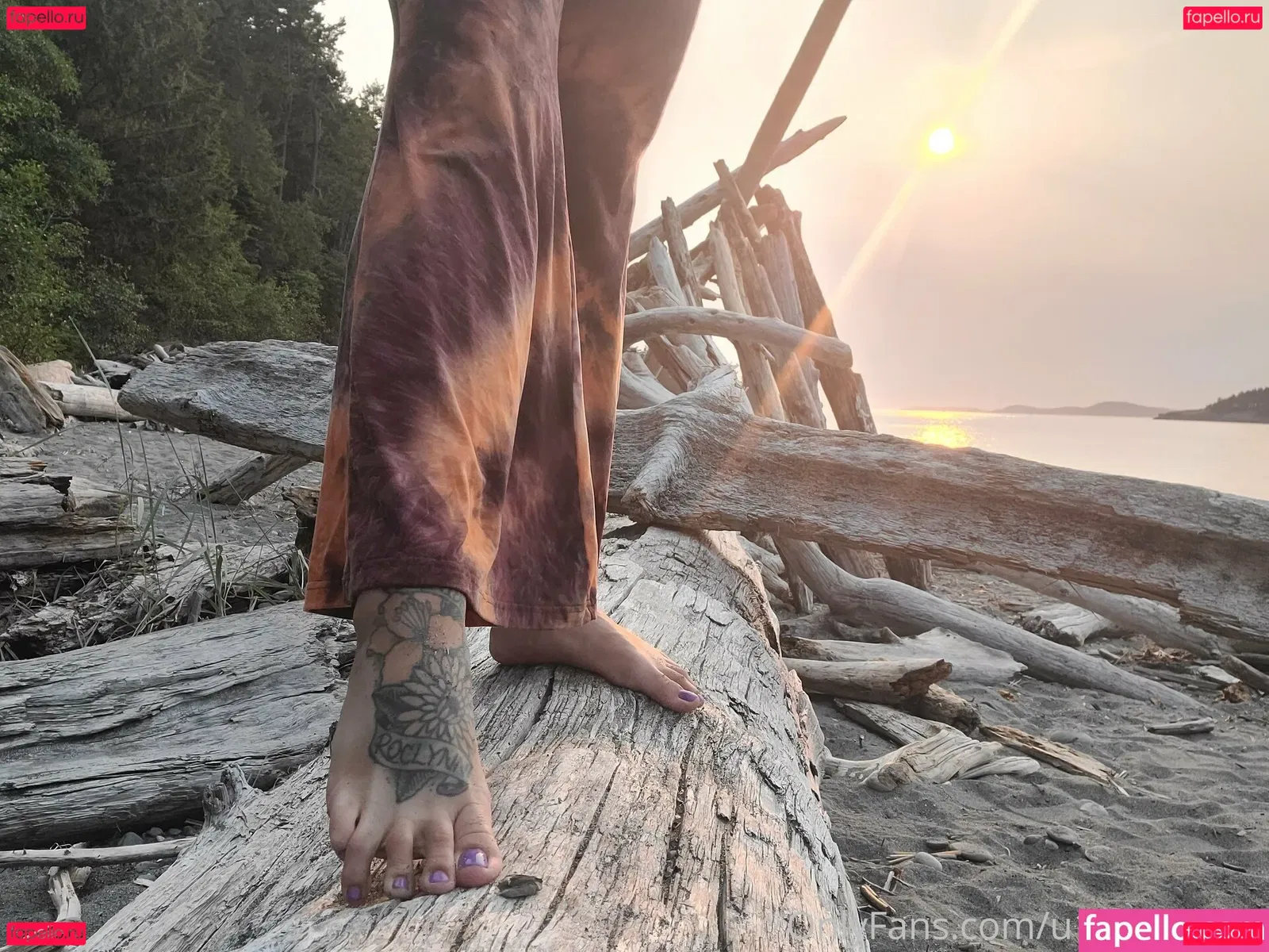 wildsoles84 Onlyfans Photo Gallery 