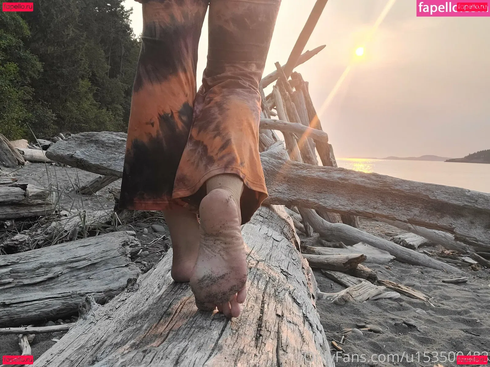 wildsoles84 Onlyfans Photo Gallery 