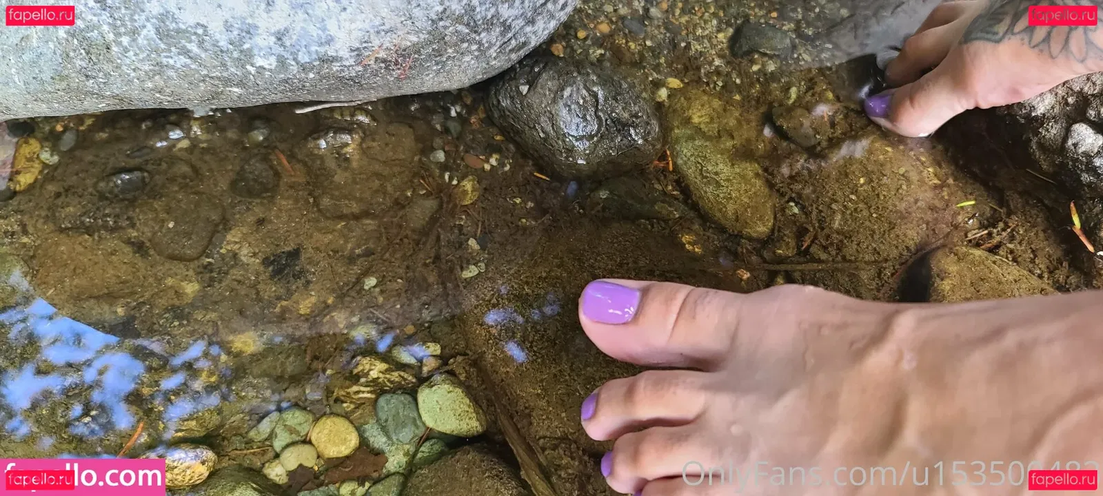 wildsoles84 Onlyfans Photo Gallery 