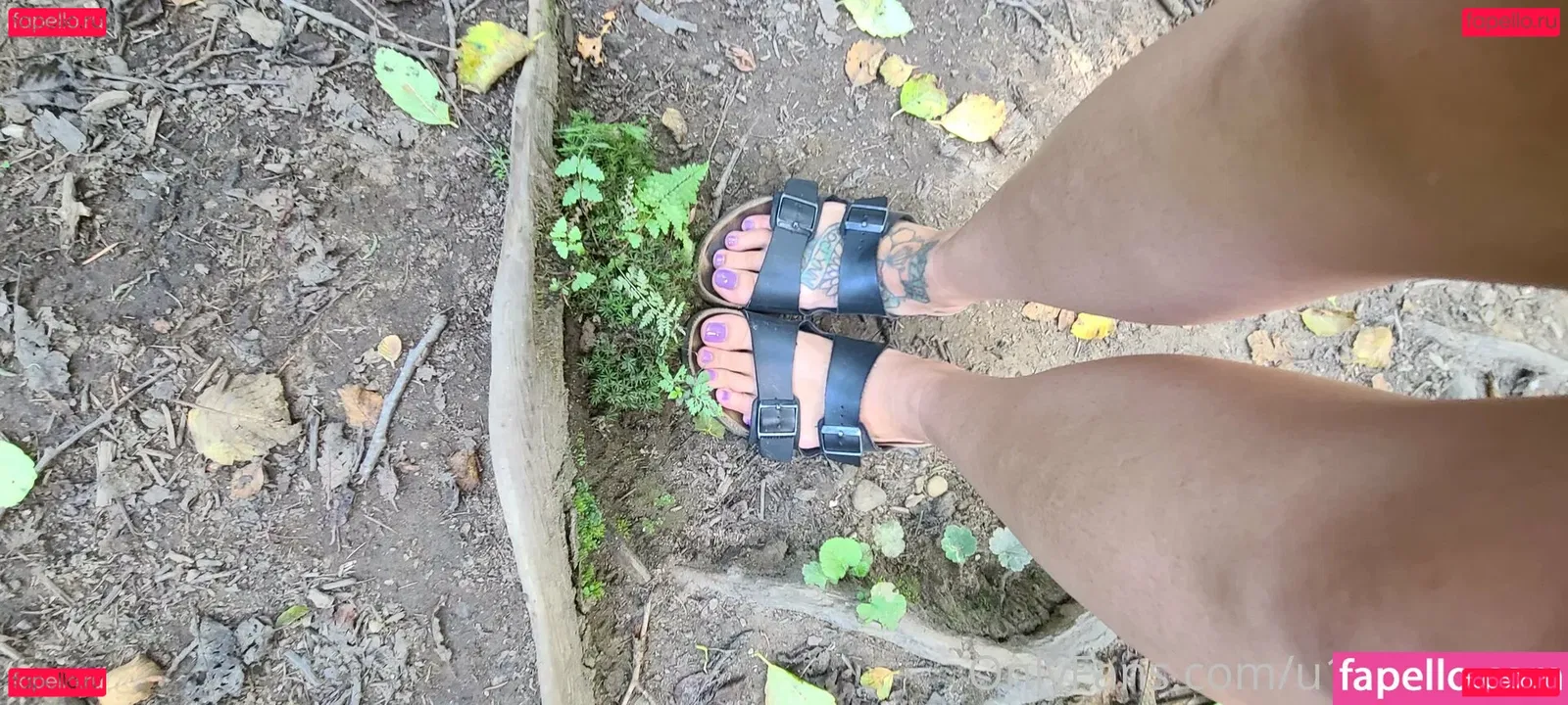 wildsoles84 Onlyfans Photo Gallery 