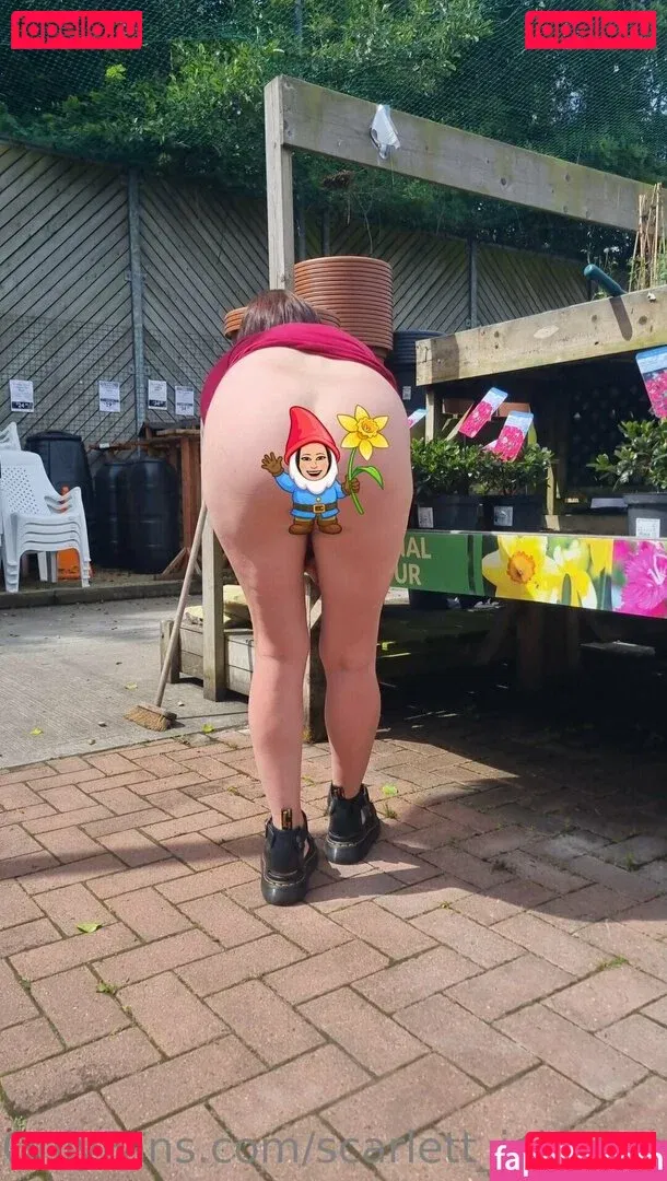 scarlett_johnson24 Onlyfans Photo Gallery 