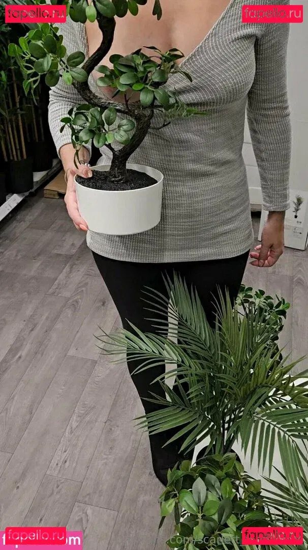 scarlett_johnson24 Onlyfans Photo Gallery 