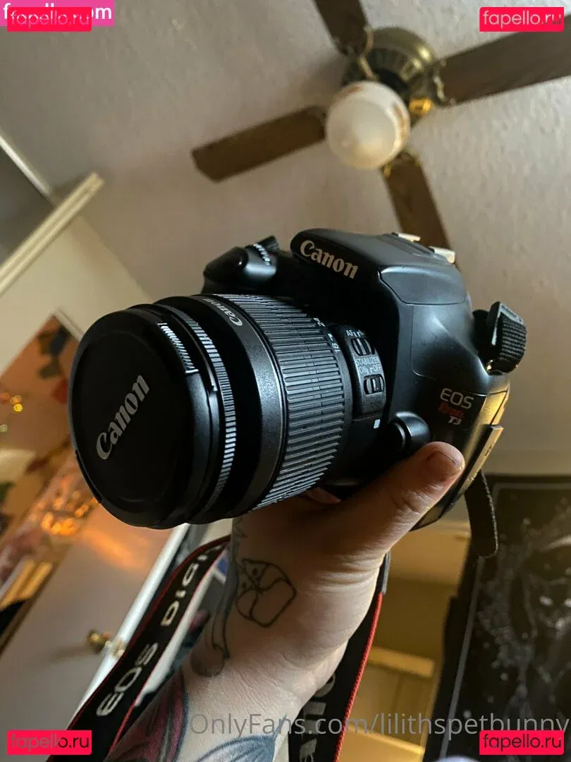 lilithspetbunny Onlyfans Photo Gallery 