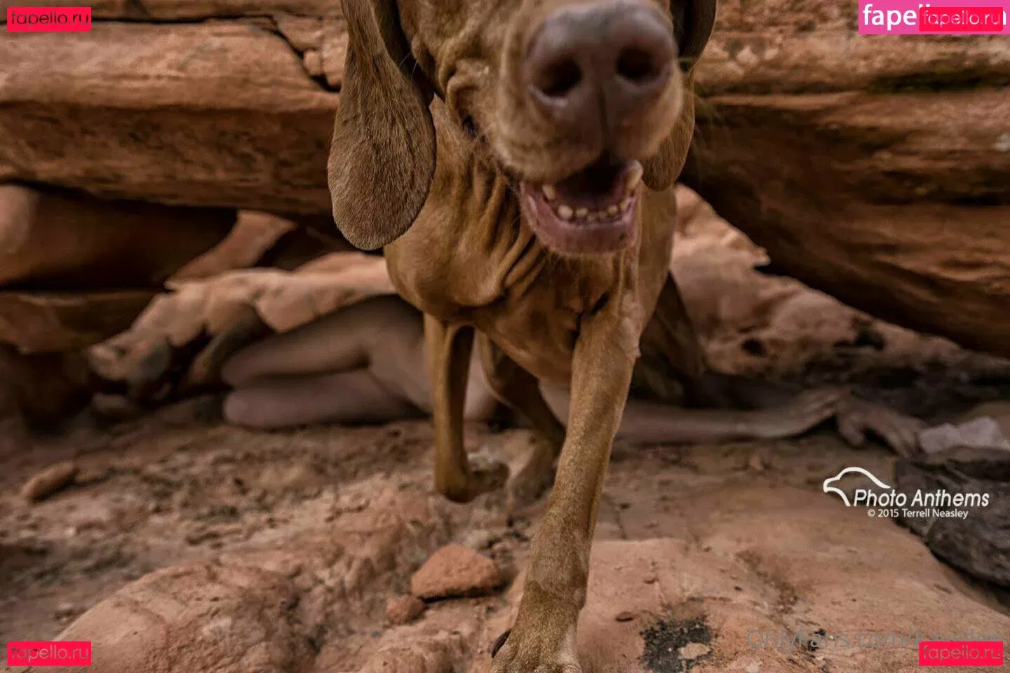 kaycilee Onlyfans Photo Gallery 