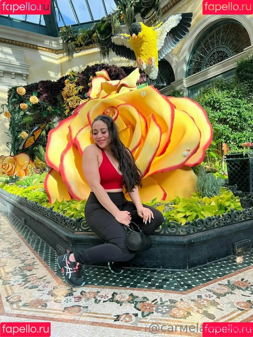 clutchvip Onlyfans Photo Gallery 