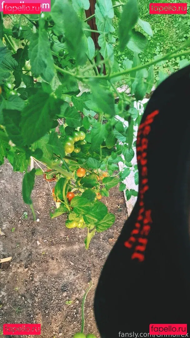 Grimoirex Onlyfans Photo Gallery 