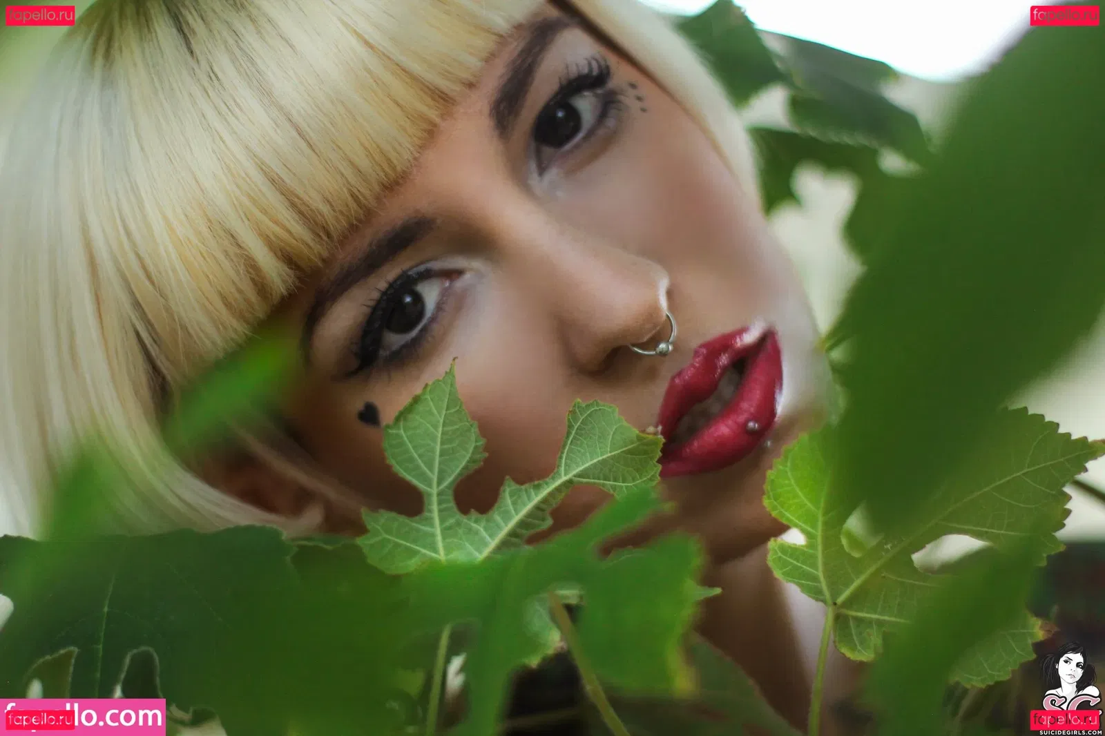 hexe_mg Onlyfans Photo Gallery 