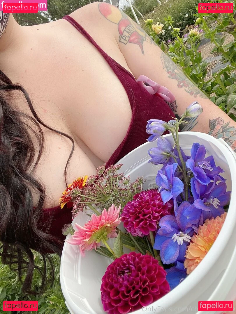 chloerydrfree Onlyfans Photo Gallery 