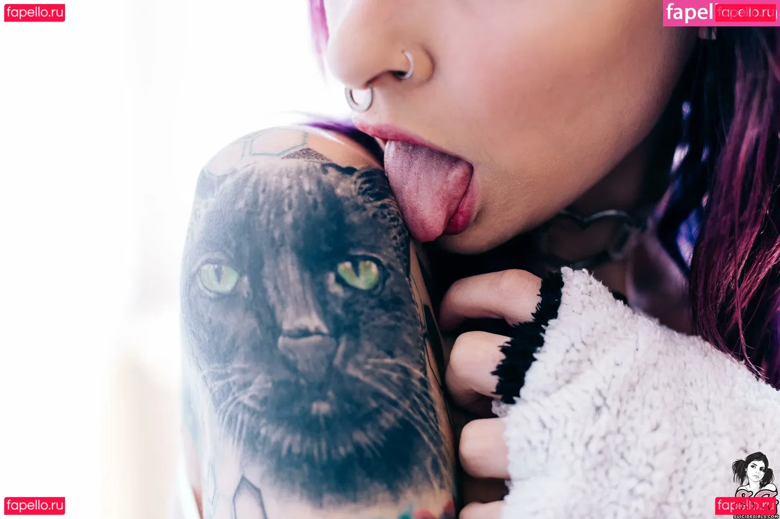 Vanp Onlyfans Photo Gallery 