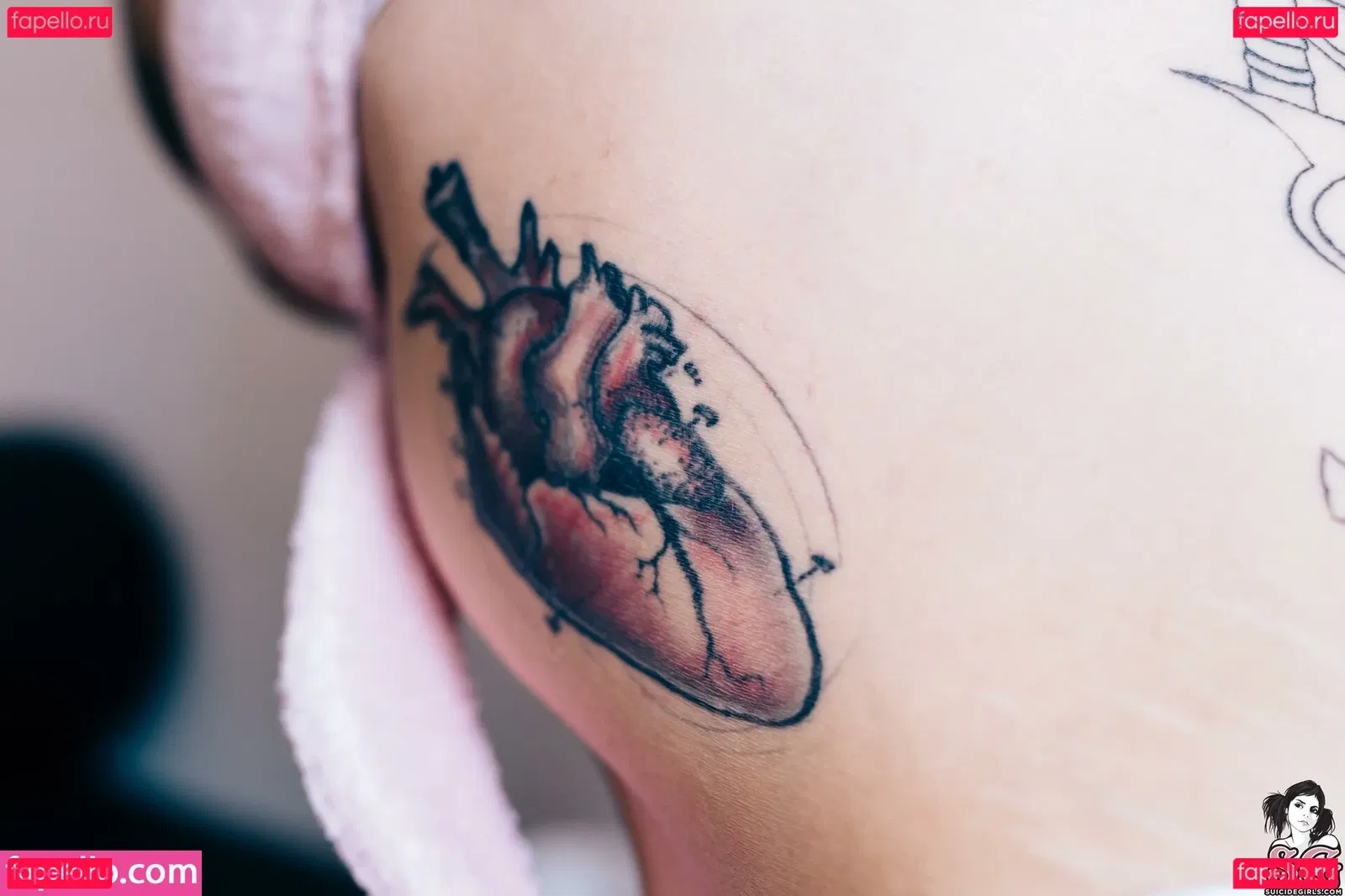 Vanp Onlyfans Photo Gallery 