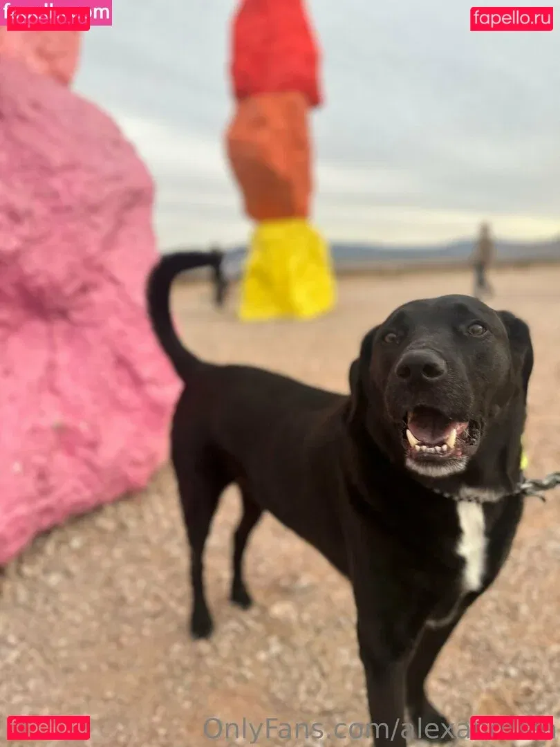 Miss_Alexandriaa Onlyfans Photo Gallery 