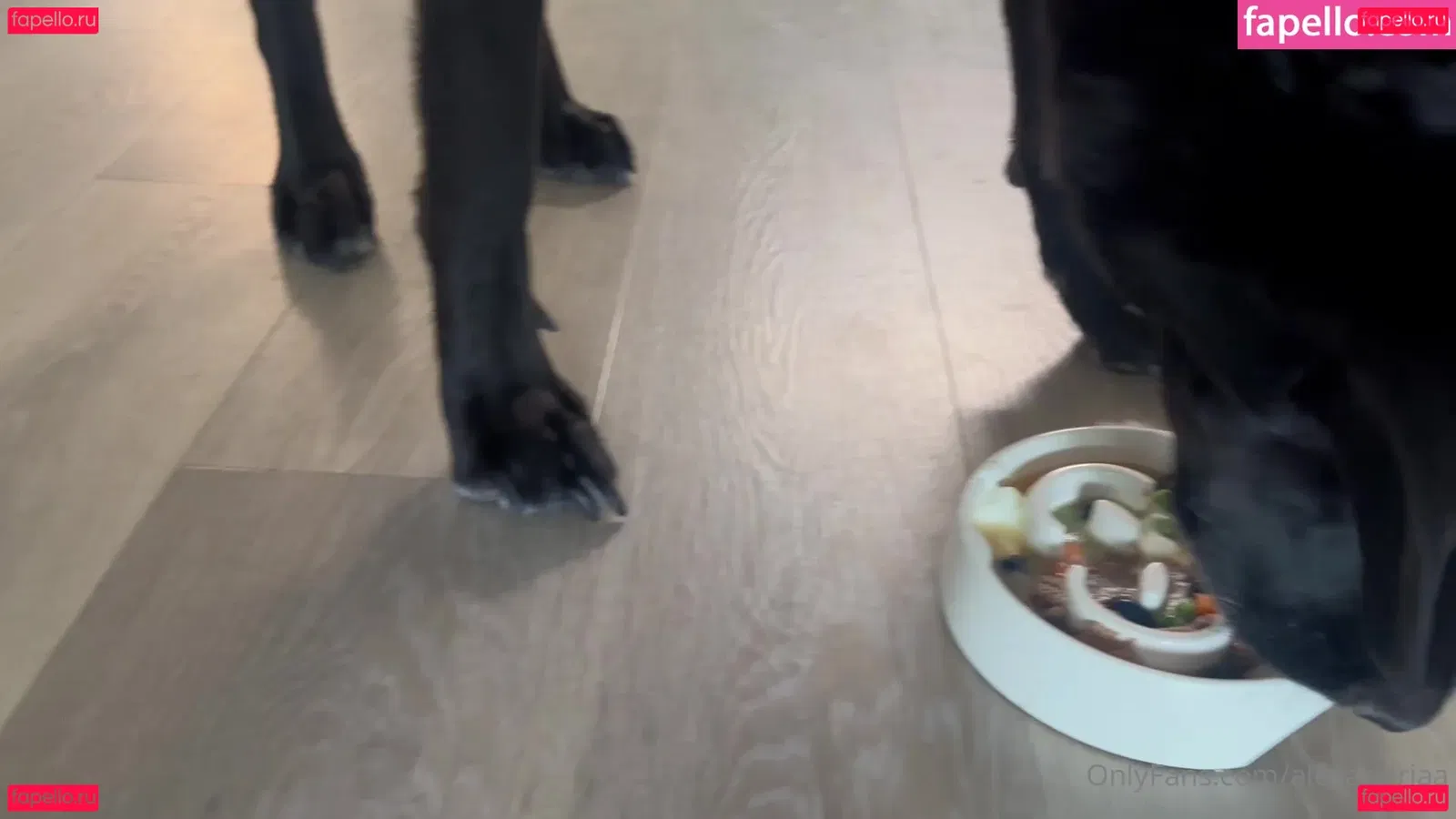 Miss_Alexandriaa Onlyfans Photo Gallery 