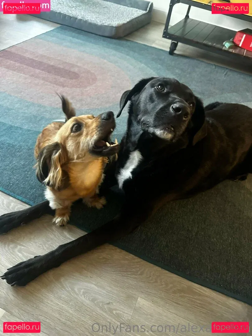 Miss_Alexandriaa Onlyfans Photo Gallery 