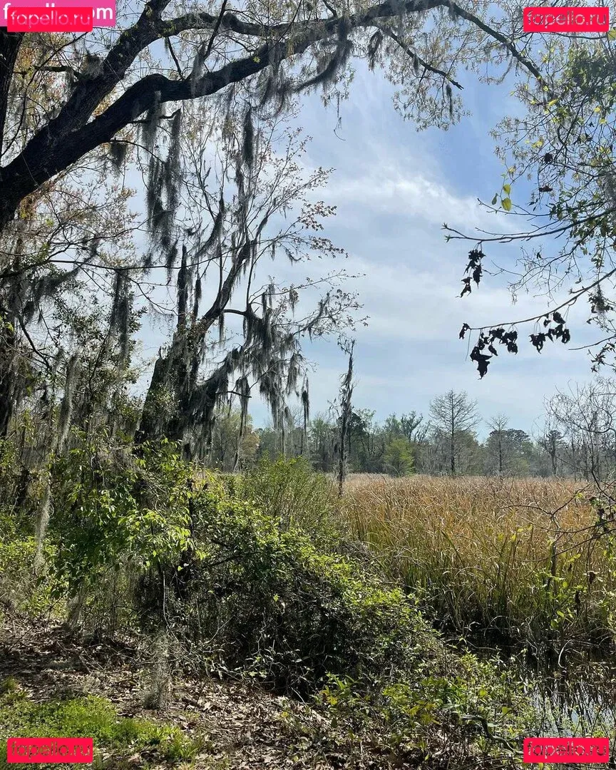 Brittney Lynn Vozar Onlyfans Photo Gallery 