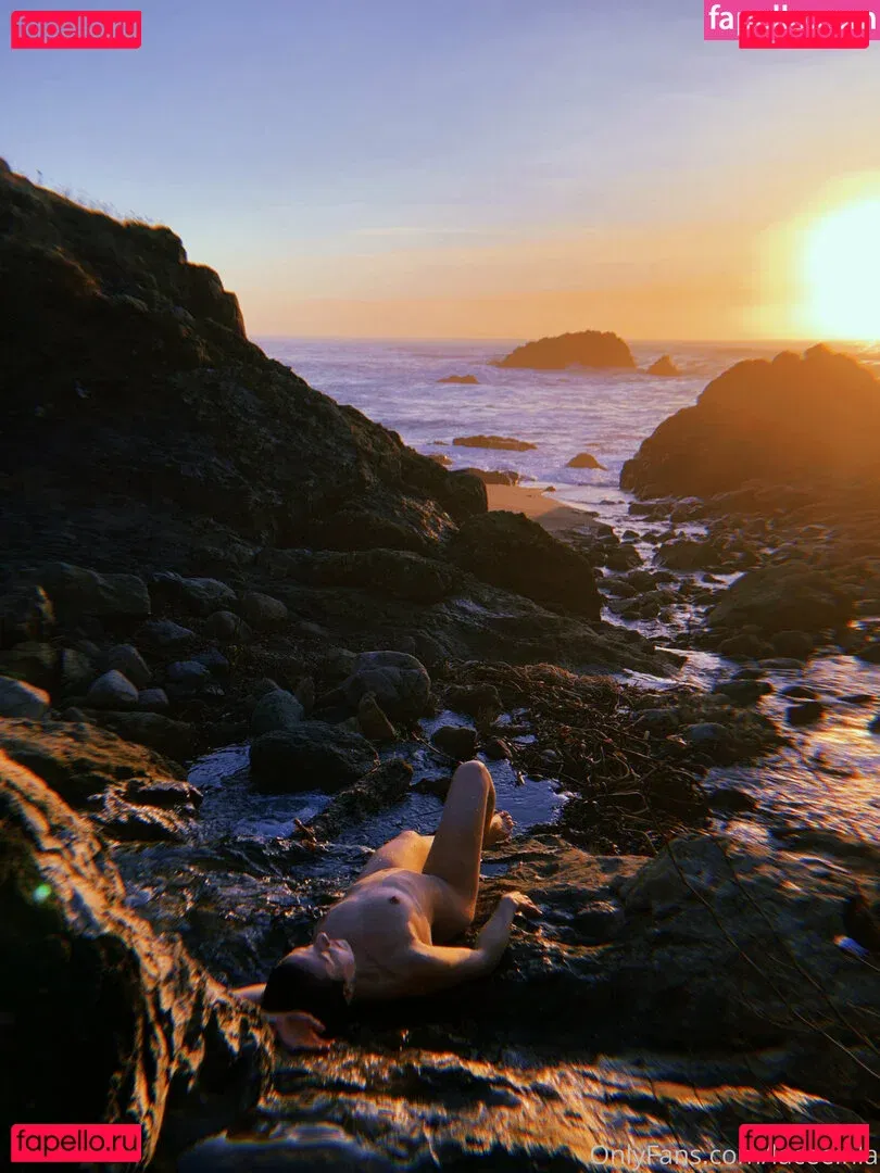 Laceeinla Onlyfans Photo Gallery 