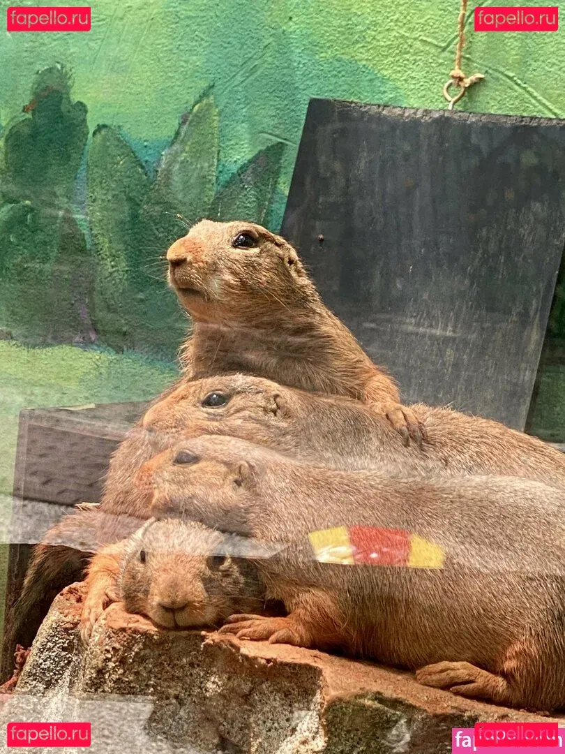 omankovivi Onlyfans Photo Gallery 