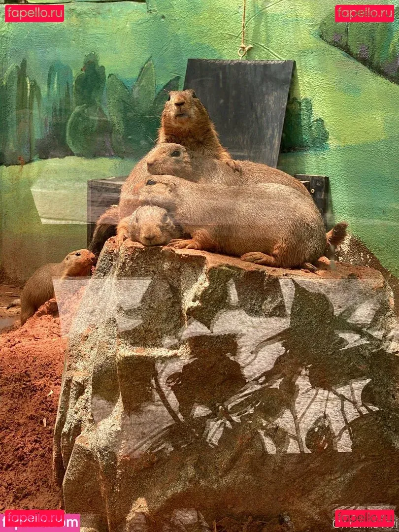 omankovivi Onlyfans Photo Gallery 