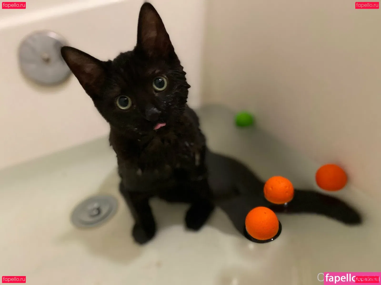 omankovivi Onlyfans Photo Gallery 