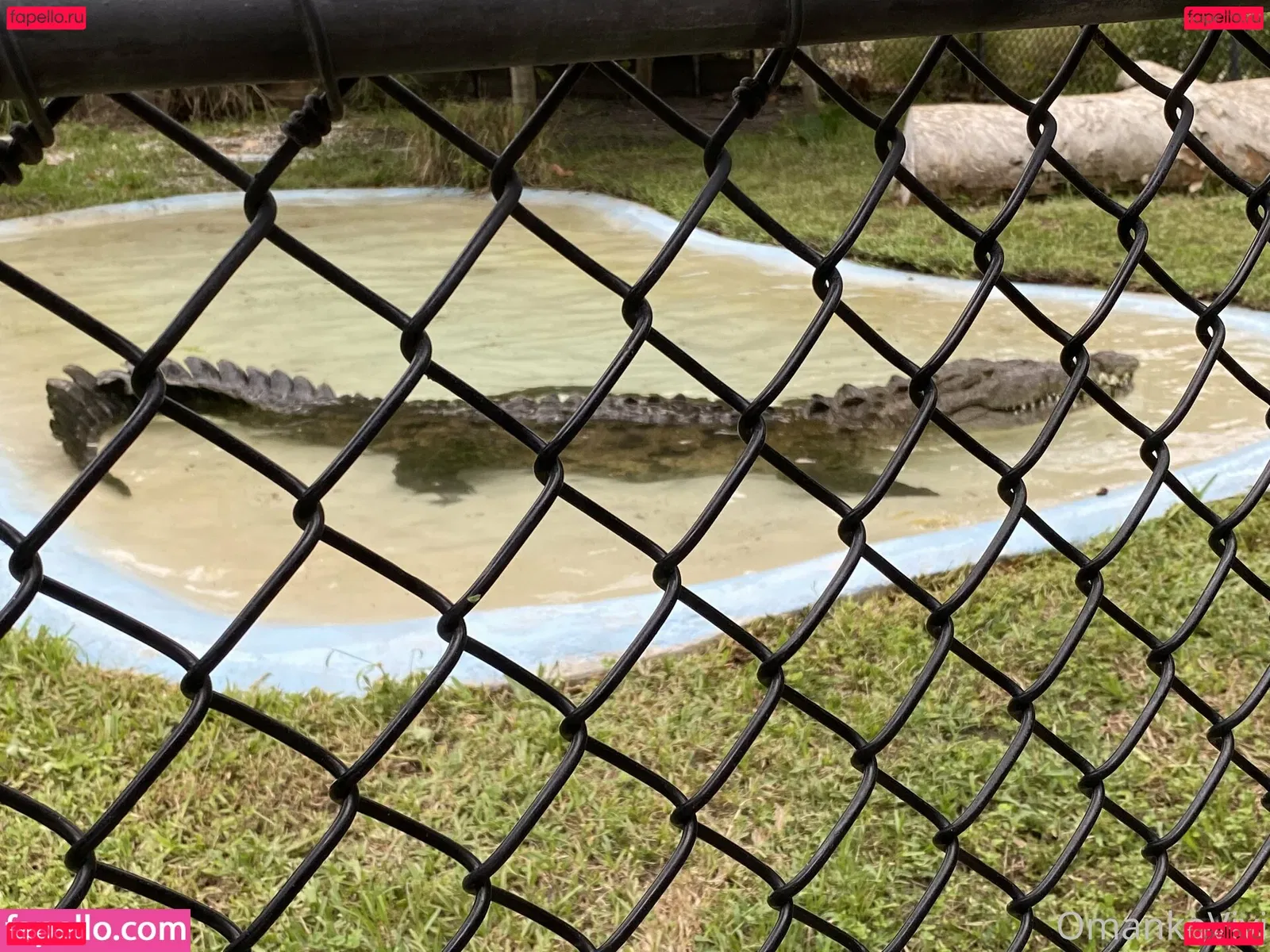 omankovivi Onlyfans Photo Gallery 