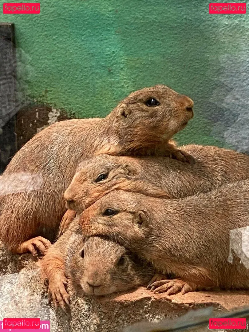 omankovivi Onlyfans Photo Gallery 