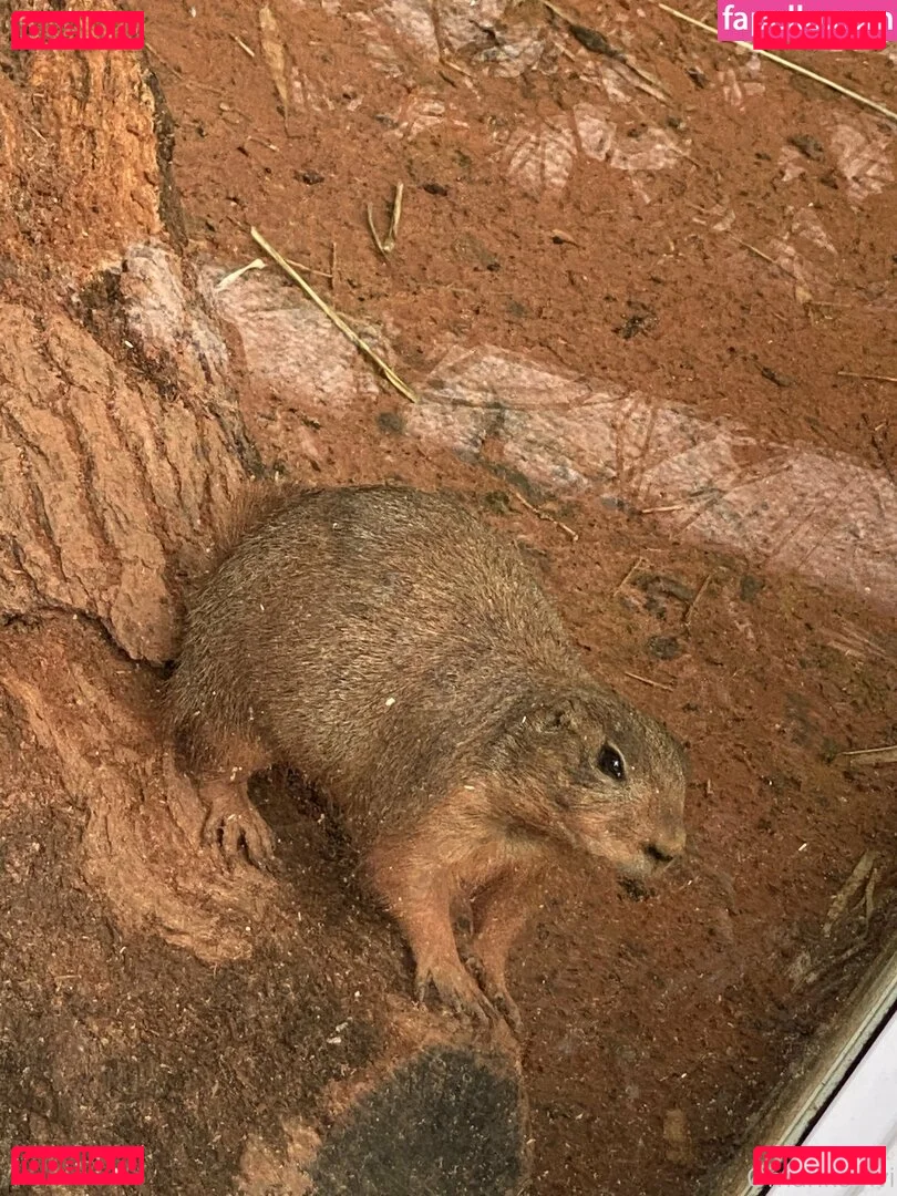 omankovivi Onlyfans Photo Gallery 