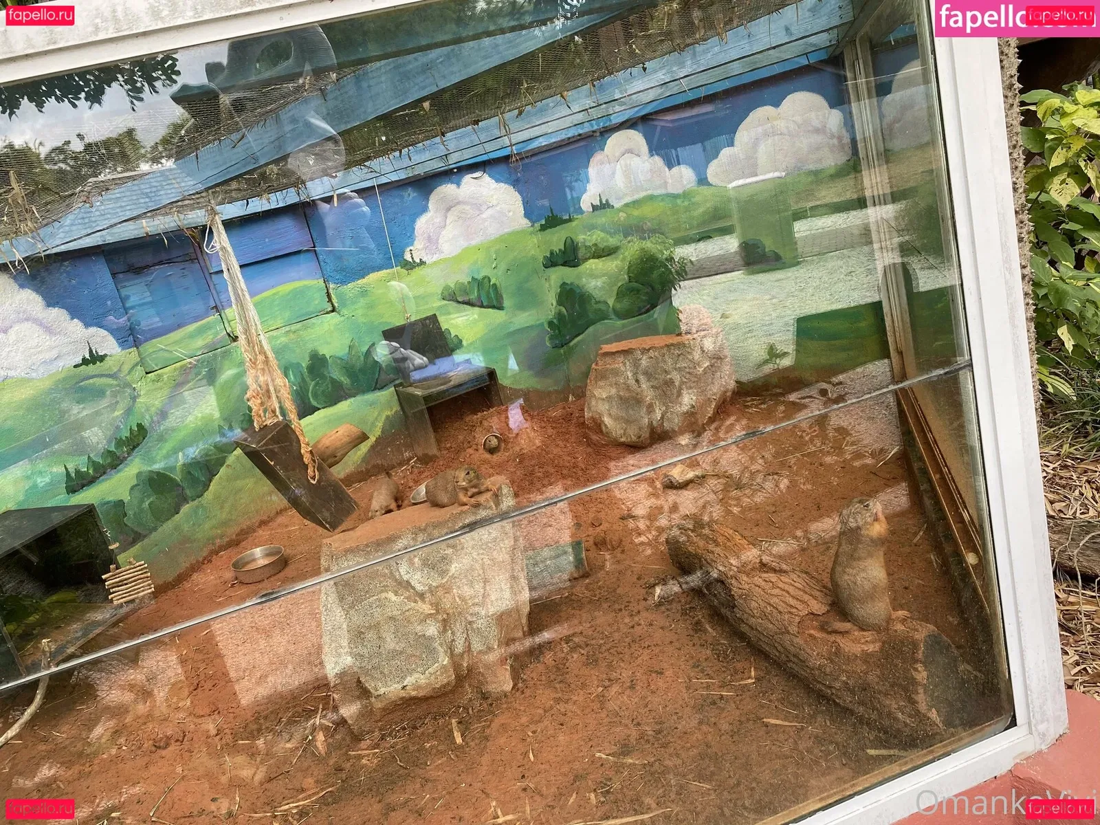 omankovivi Onlyfans Photo Gallery 