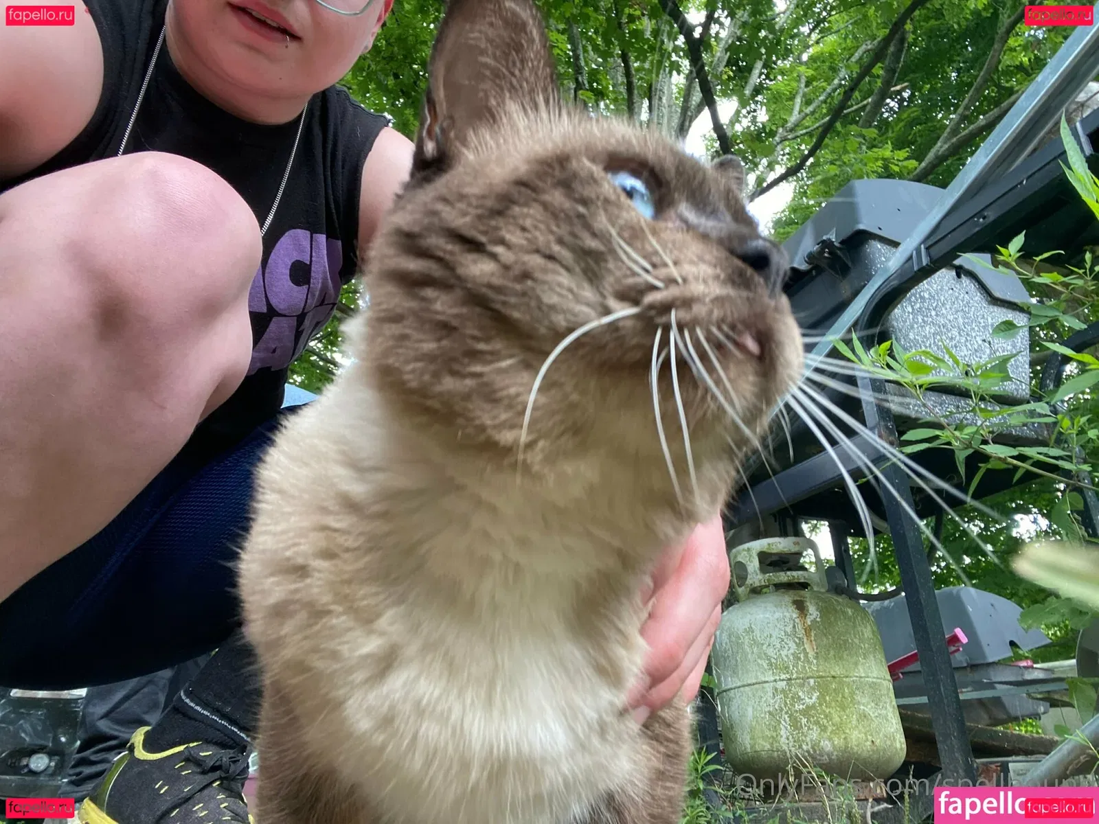 Spellbound Onlyfans Photo Gallery 