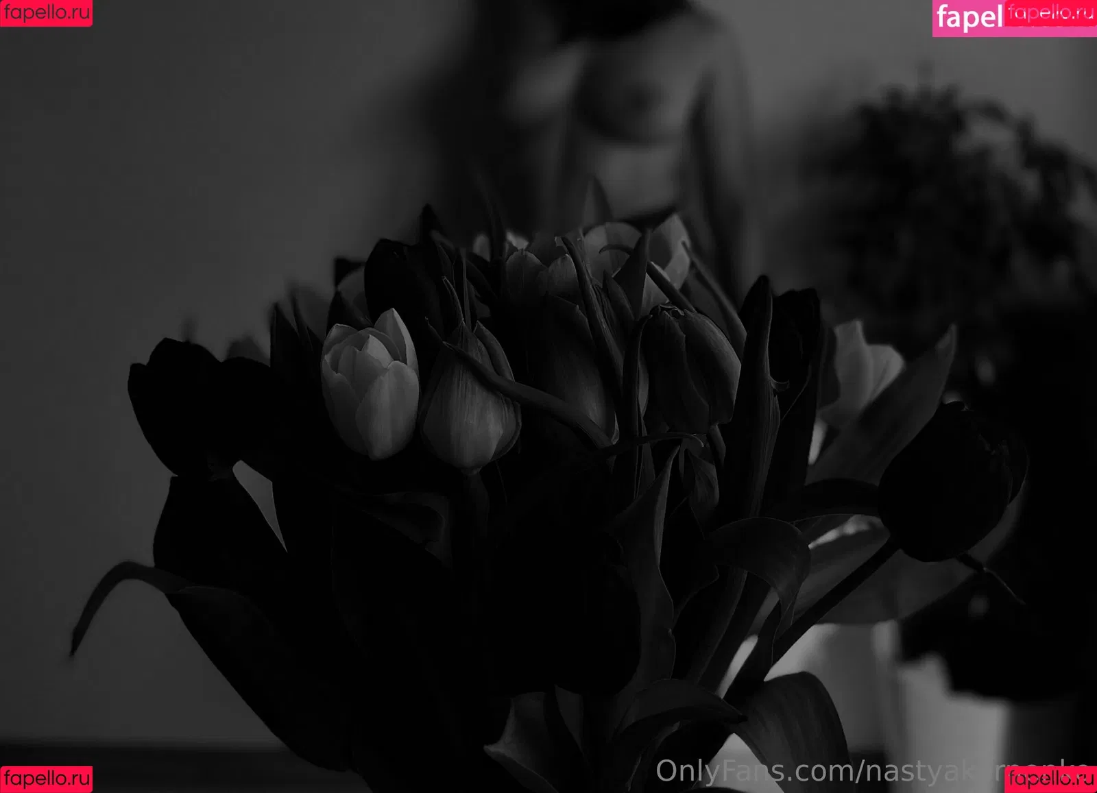 the_cherry_on_the_cake Onlyfans Photo Gallery 