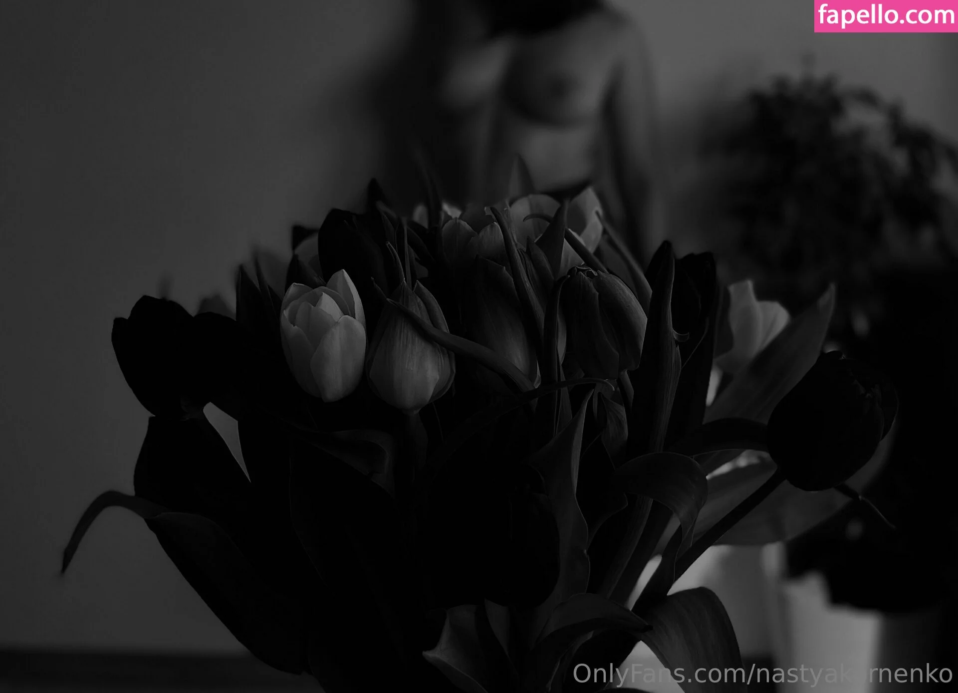 the_cherry_on_the_cake Onlyfans Photo Gallery 