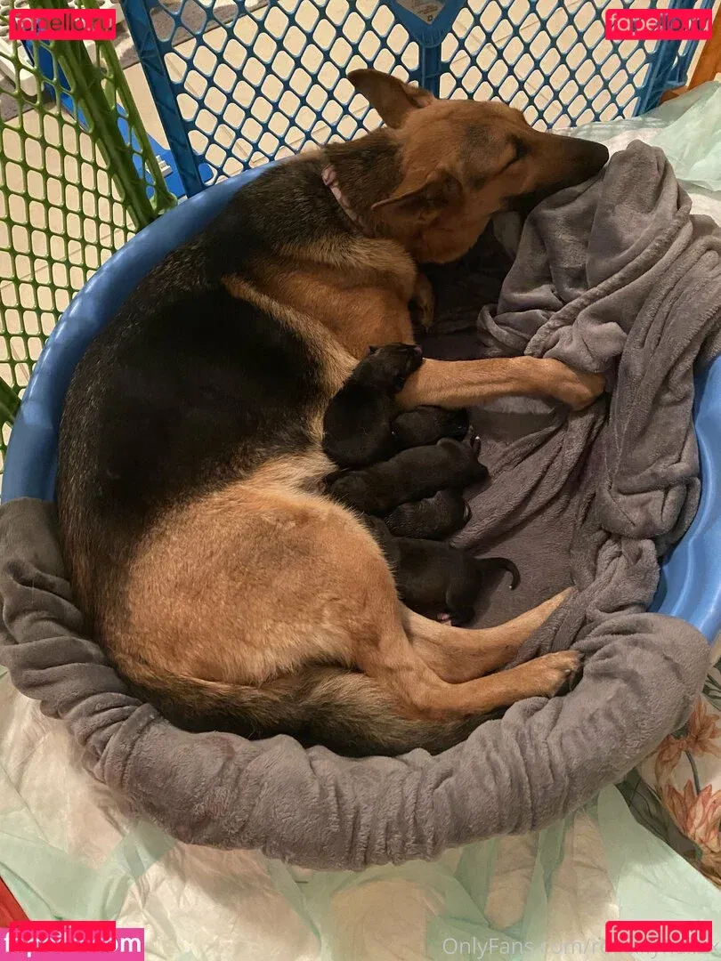 reallillyhallxx Onlyfans Photo Gallery 