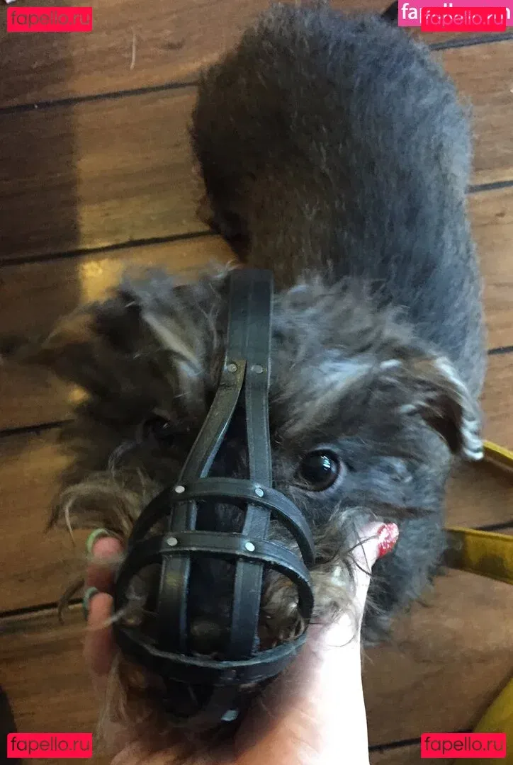 vlproductionsuk Onlyfans Photo Gallery 