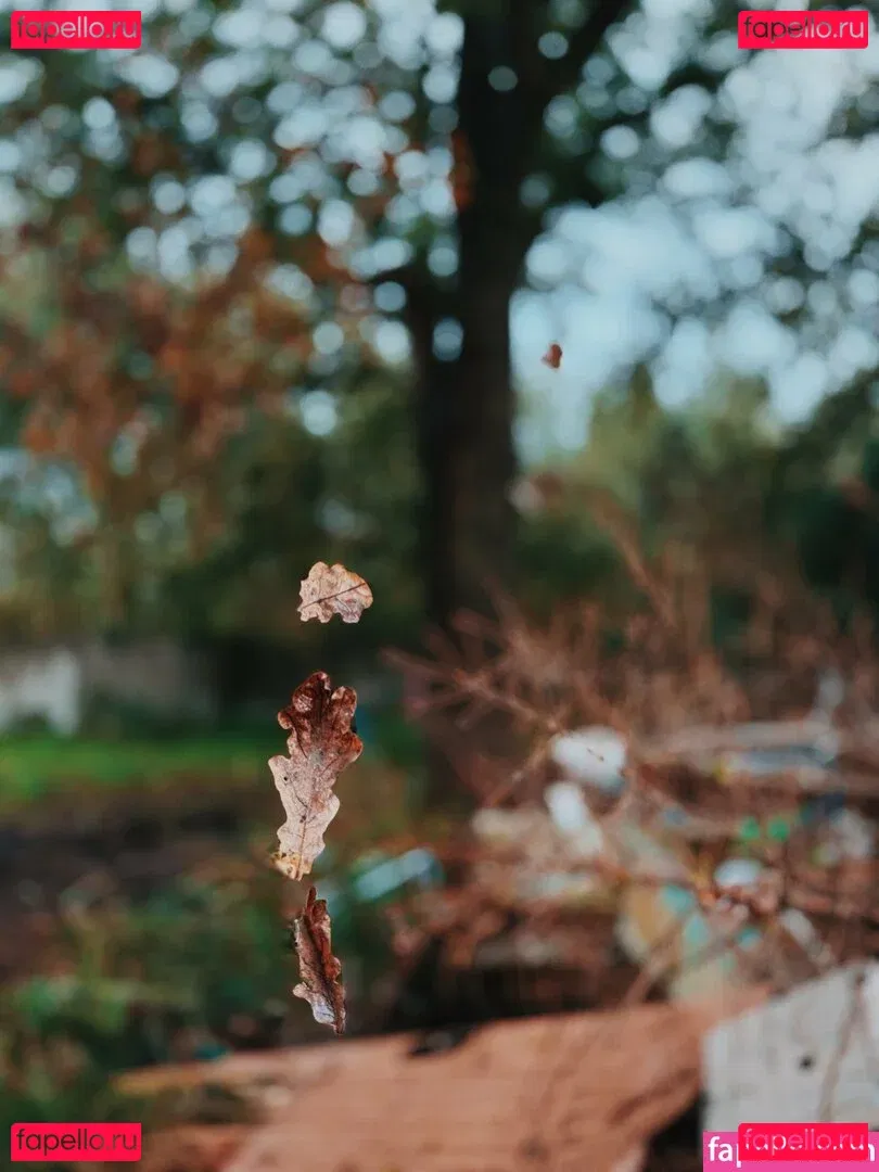 illinifellow Onlyfans Photo Gallery 