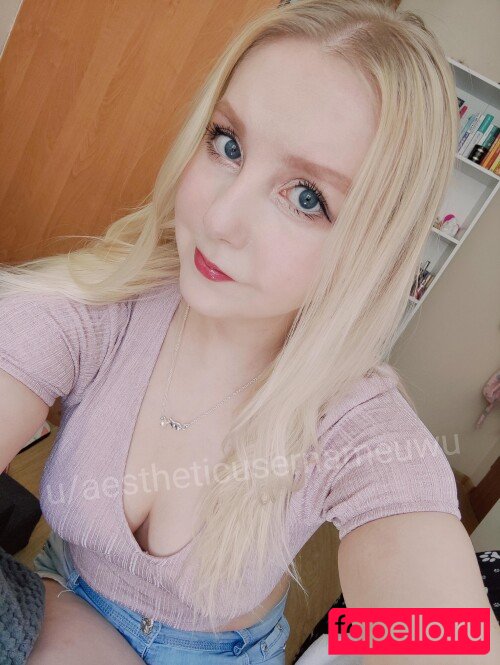 aestheticusernameuwu Nude Onlyfans Photo 26