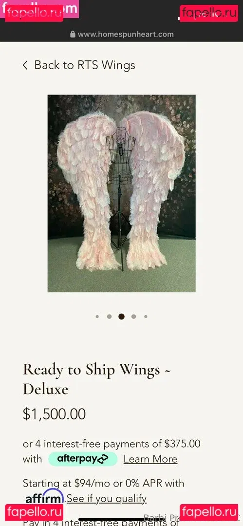 spicy_barbi Onlyfans Photo Gallery 