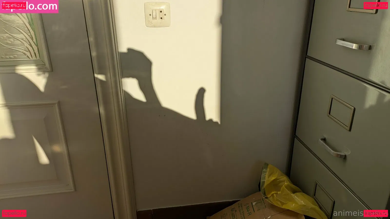 animeistrash4 Onlyfans Photo Gallery 