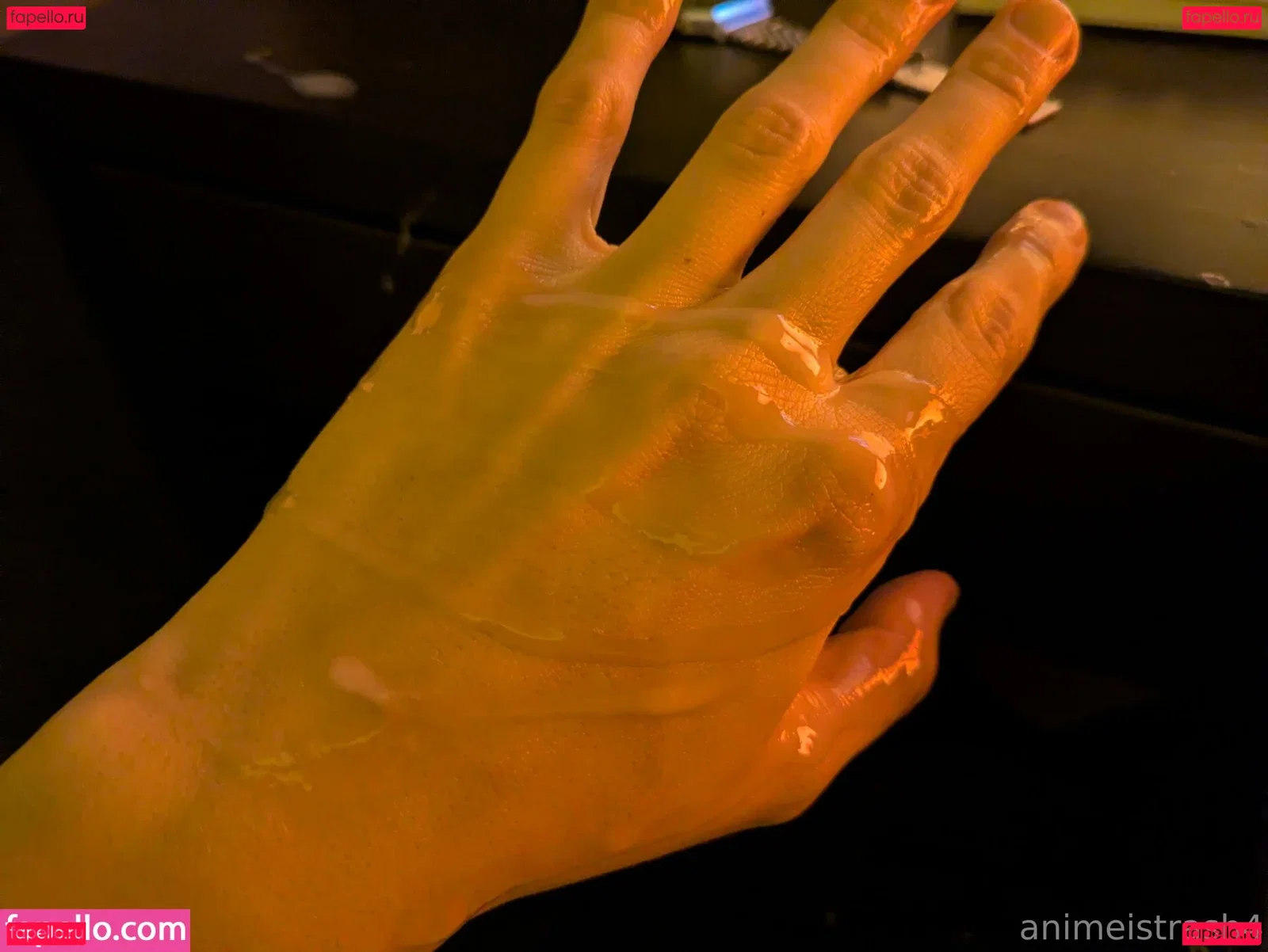 animeistrash4 Onlyfans Photo Gallery 