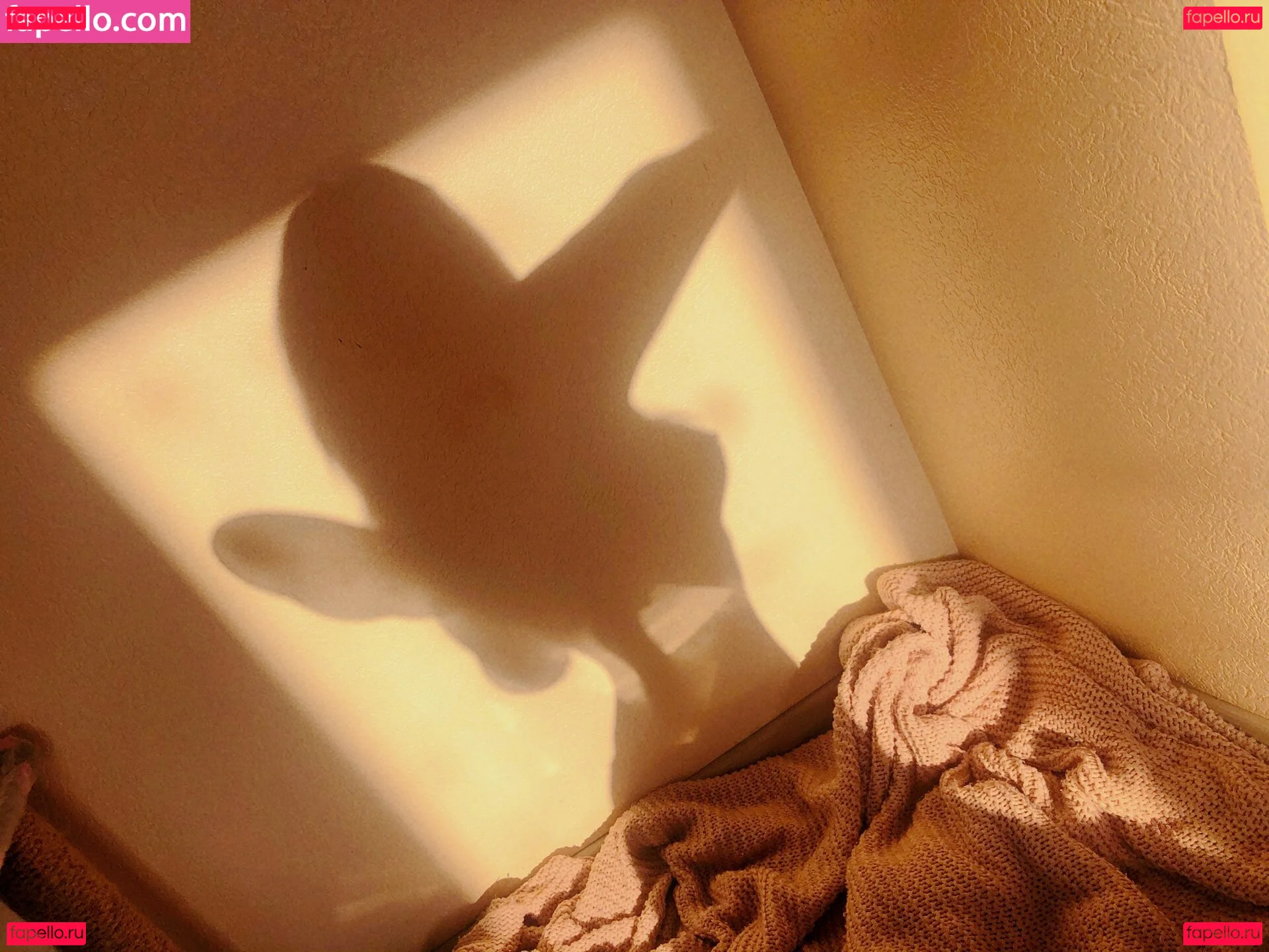 Rachel Blossom Onlyfans Photo Gallery 