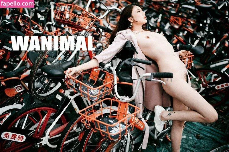 Ding1204 Onlyfans Photo Gallery 