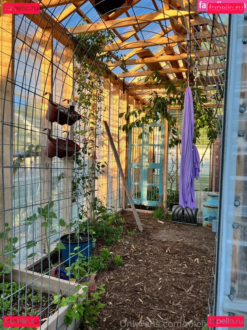 michelemarie Onlyfans Photo Gallery 