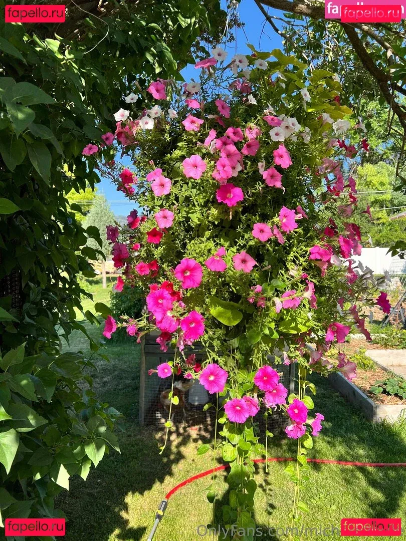 michelemarie Onlyfans Photo Gallery 