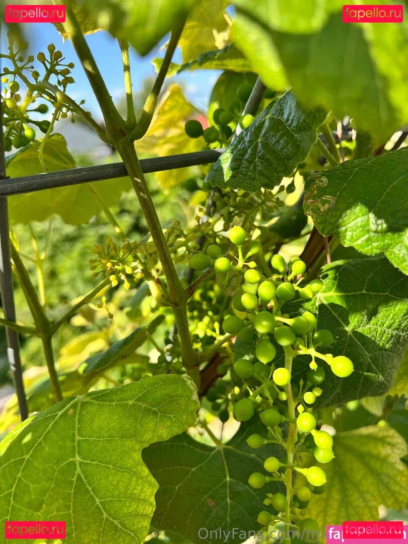 michelemarie Onlyfans Photo Gallery 