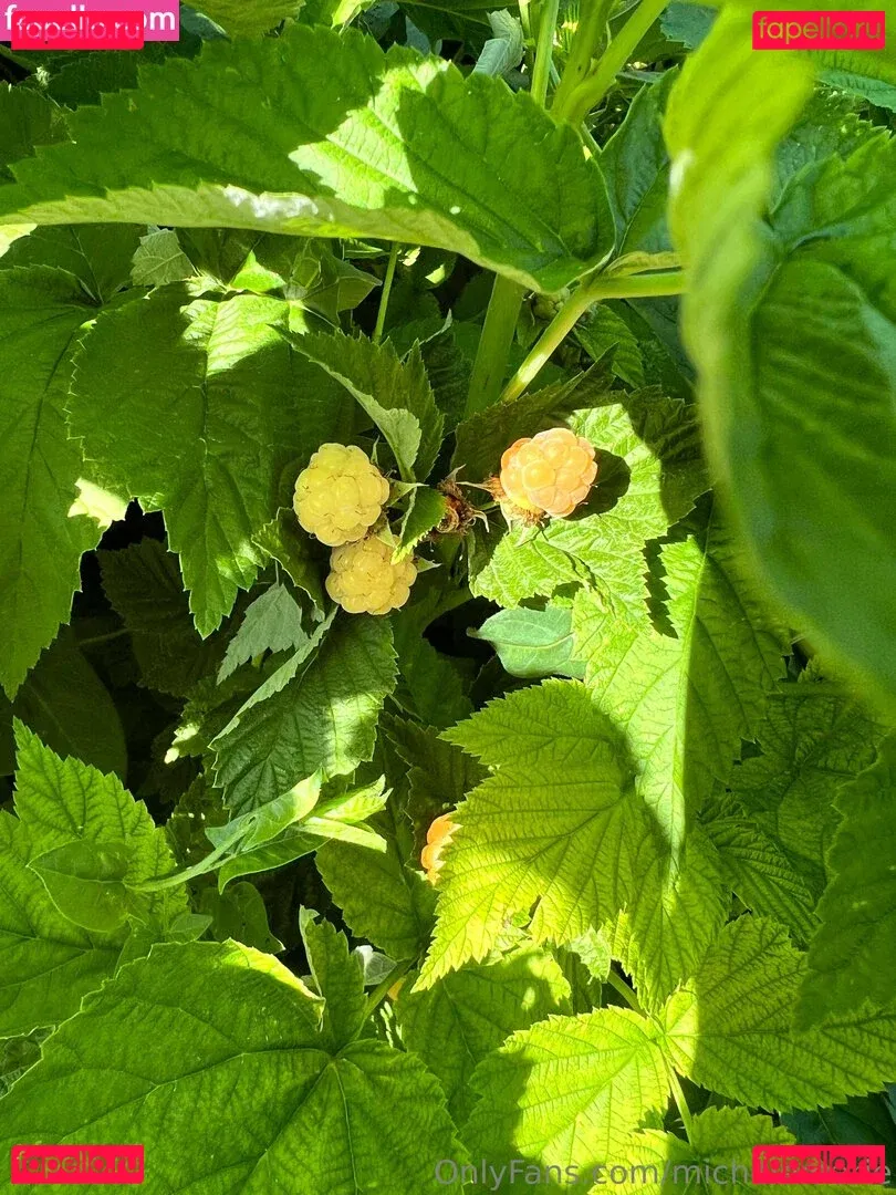 michelemarie Onlyfans Photo Gallery 