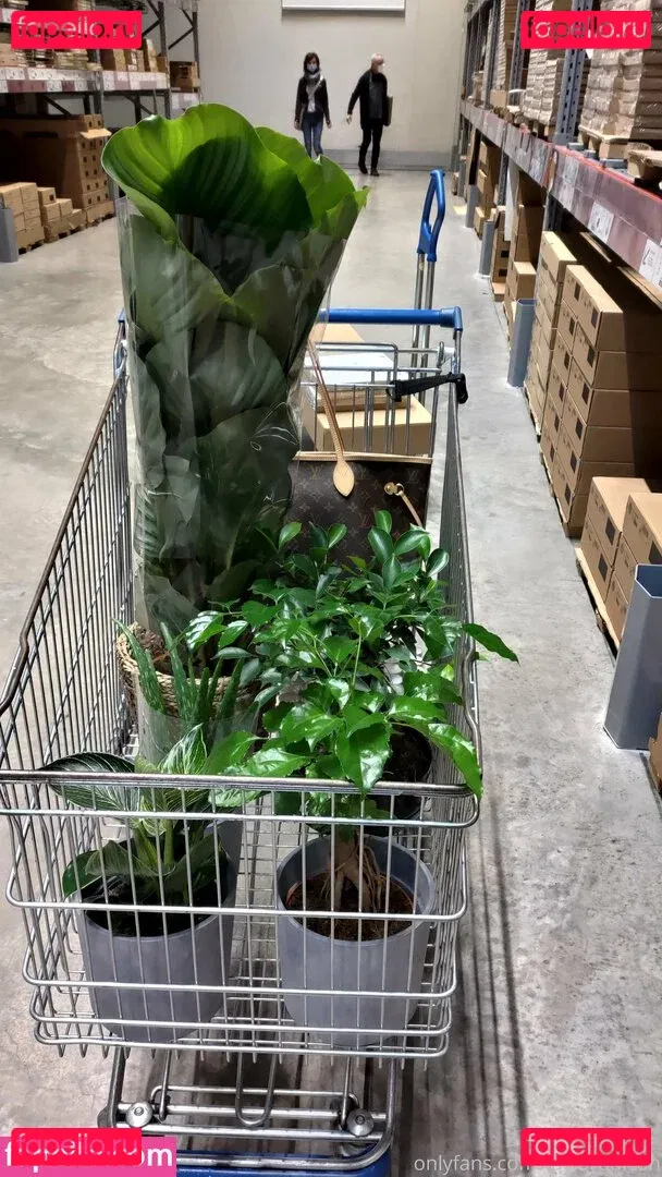 taylorburton Onlyfans Photo Gallery 