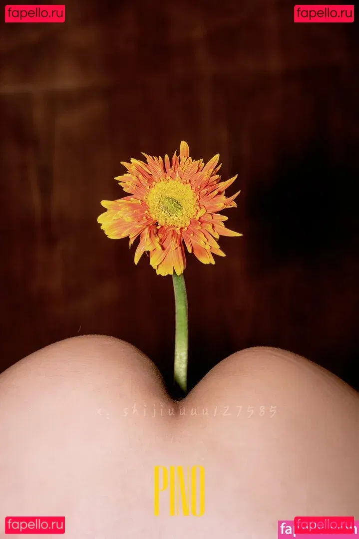 shijiuuuu127585 Onlyfans Photo Gallery 