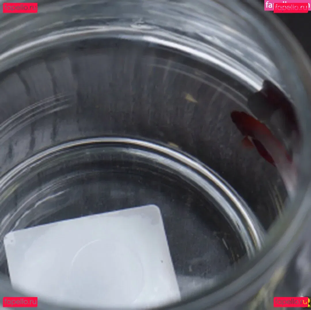 Reality Kings Onlyfans Photo Gallery 