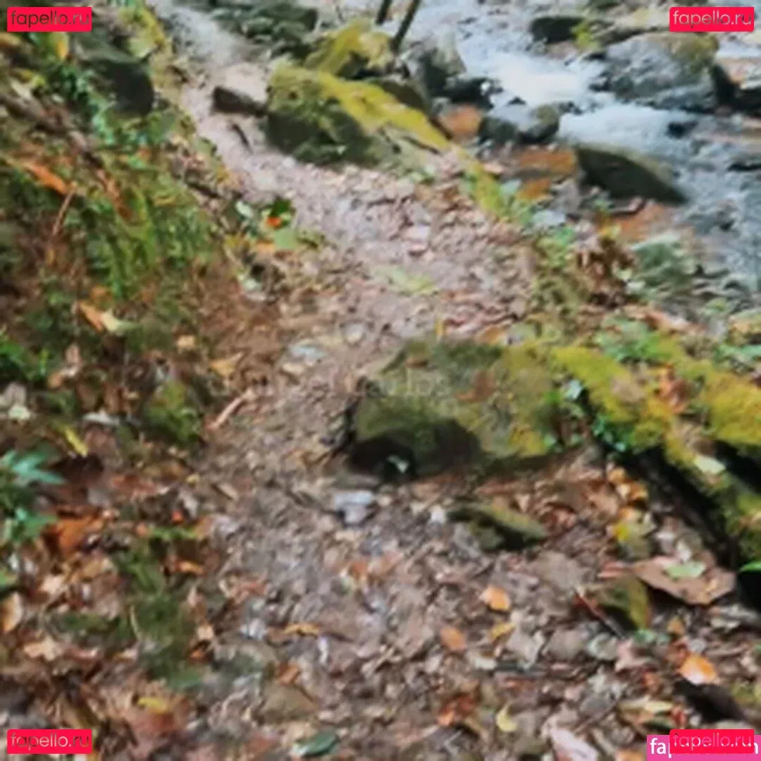 Rangel Carlos Onlyfans Photo Gallery 