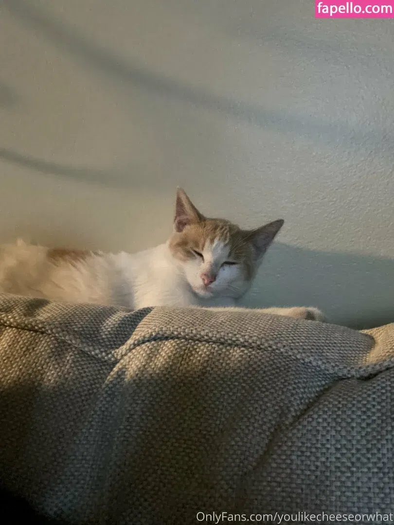 theultimatedeciever Onlyfans Photo Gallery 