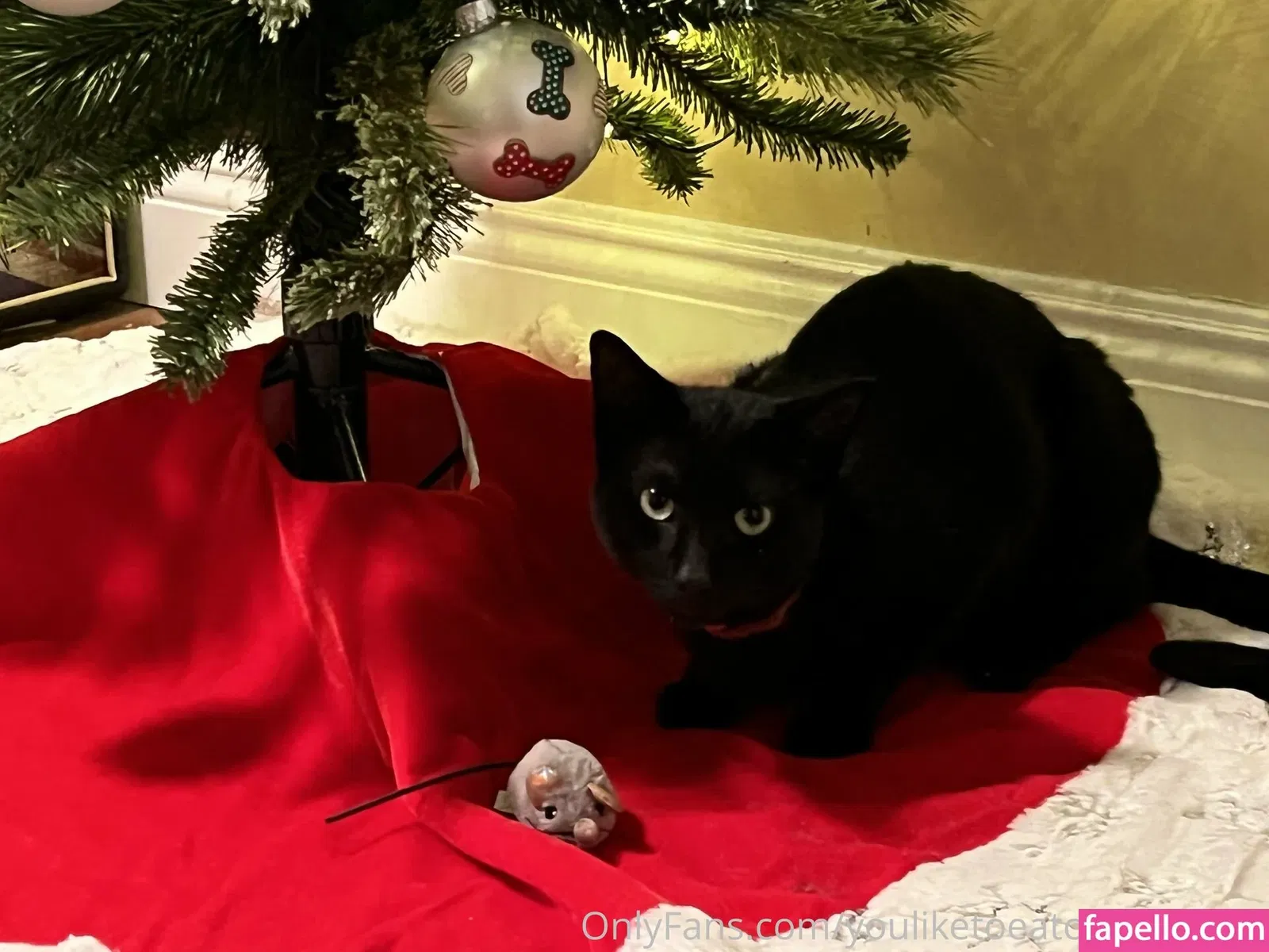 theultimatedeciever Onlyfans Photo Gallery 