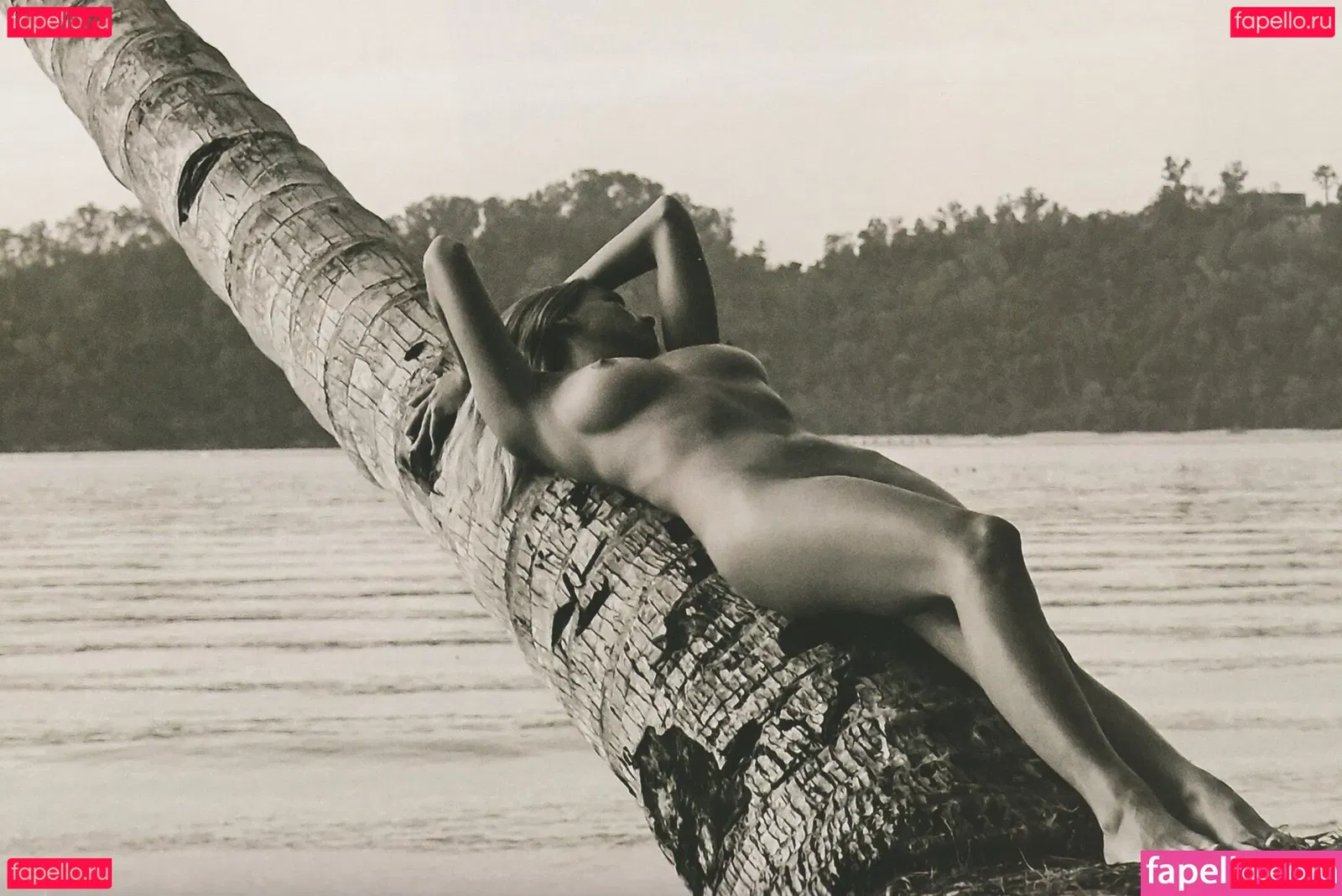 Genevieve Morton Onlyfans Photo Gallery 